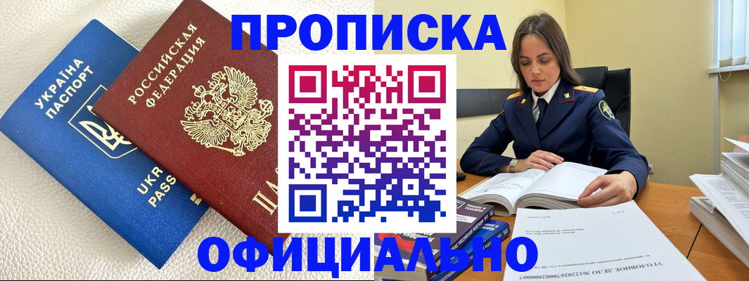 прописка поиск в Щёлково